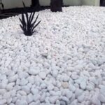 WhatsApp Image 2024-11-30 at 17.18.39