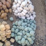 WhatsApp Image 2024-11-30 at 17.18.43