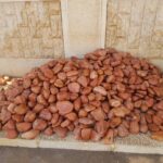 WhatsApp Image 2025-04-12 at 19.57.29 (1)